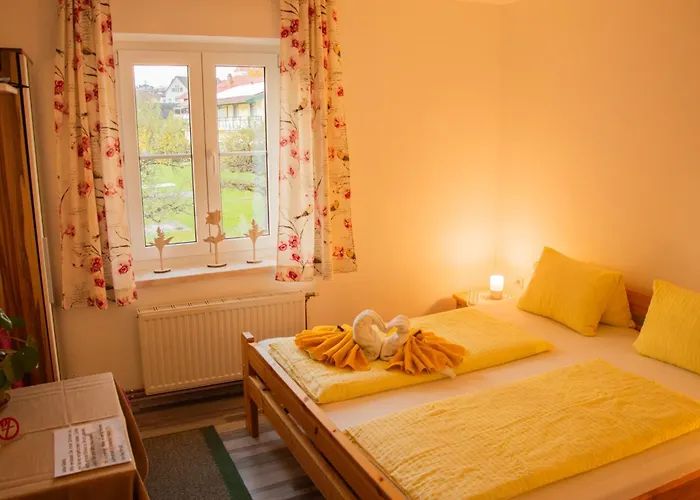 Hrnjic Guest house *