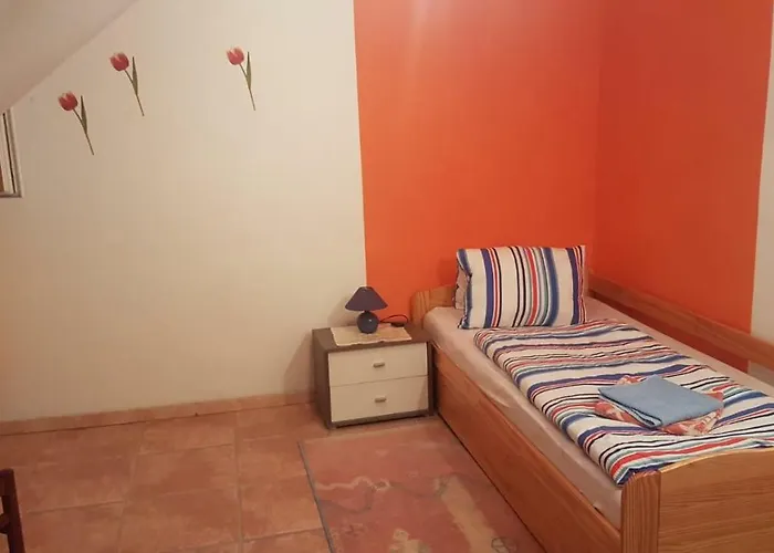 Hrnjic Guest house *